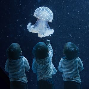 Meet your Posher, Jeff